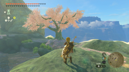 the travel medallion totk Zelda TOTK Satori Mountain.png