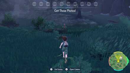 Pokemon Scarlet and Violet SV - Take Photo