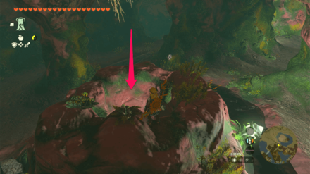 TOTK - Rodai Lakefront Tunnel Bubbulfrog Location