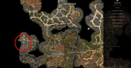 Priestess Gut Map Location - Baldur