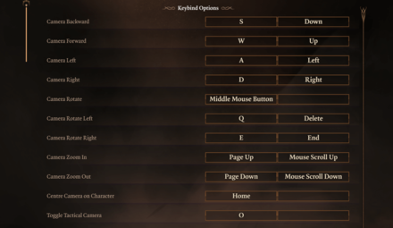 Baldurs Gate 3 BG3 - Camera Keys Full Release