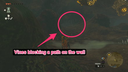 TOTK - Mount Dunsel Cave Bubbulfrog Location