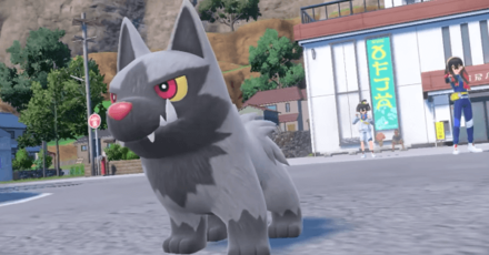 Pokemon Scarlet Violet - Carmine Poochyena.png