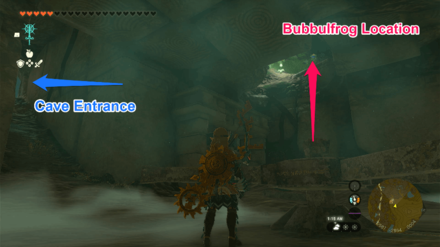 TOTK - Finra Woods Excavation Site Bubbulfrog Location