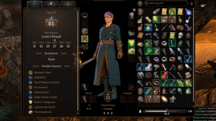 Baldurs Gate 3 BG3 - No Bag of Holding to Carry Items