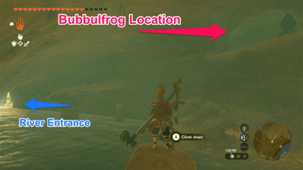 TOTK - Mount Nabooru Cave Bubbulfrog Location