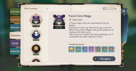 Genshin - Fatui Cicin Mage in the Adventurer