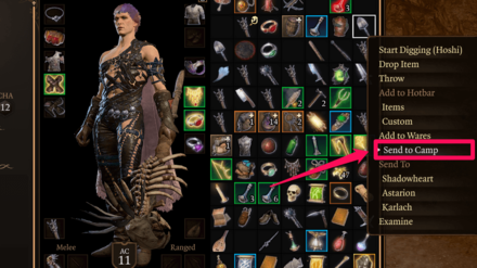 Baldurs Gate 3 BG3 - Send to Camp Option