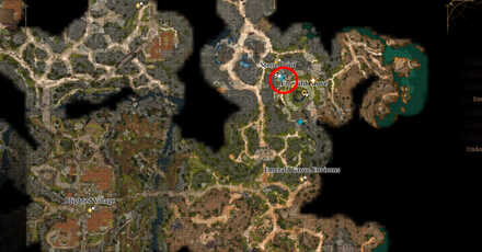 Ask Help from Nettie Map Location - Baldur