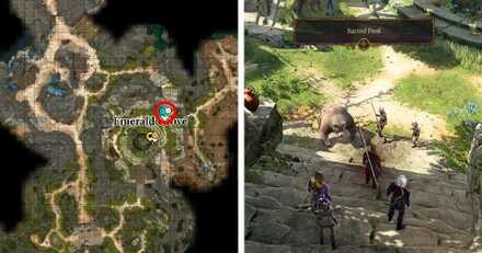 Sacred Pool Map Location - Baldur