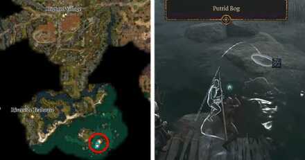 Tree in Swamp Map Location - Baldur