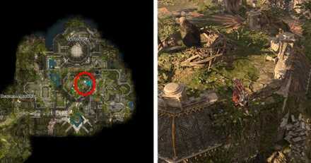 Giant Eagle Map Location - Baldur