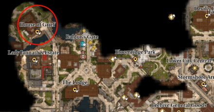 Baldurs Gate 3 - House of Grief Location