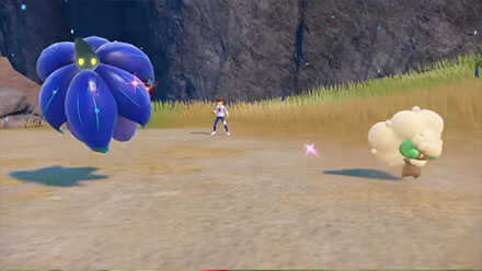 Pokemon Scarlet and Violet SV - Whimsicott