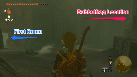 TOTK - Tanagar Canyon East Cave Bubbulfrog Location 2