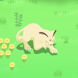 Pokemon Sleep - Sturdy Sleep