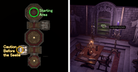 Baldurs Gate 3 - Caution Before the Seelie Location