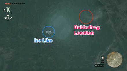 TOTK - Pikida Stonegrove Northwest Cave Bubbulfrog Location