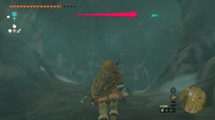 TOTK - Brightcap Cave Bubbulfrog Location