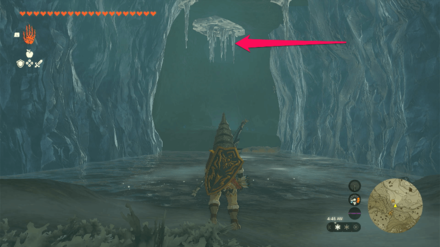 TOTK - Talonto Peak Cave Bubbulfrog Location