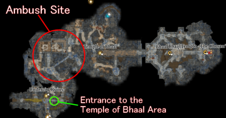 Baldurs Gate 3 - Temple of Bhaal Location