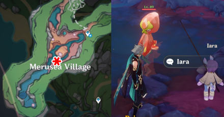 Genshin - Strange Part - Talk to Iara and defeat the Ball Octopus