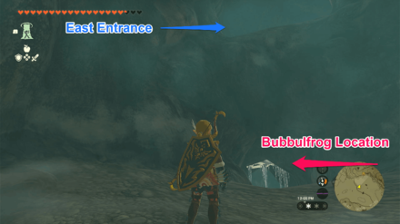 TOTK - East Biron Snowshelf Cave Bubbulfrog Location