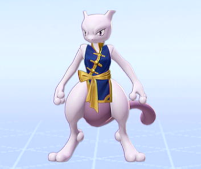 Martial Arts Style Y Image