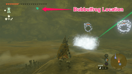 TOTK - Gisa Crater Cave Bubbulfrog Location