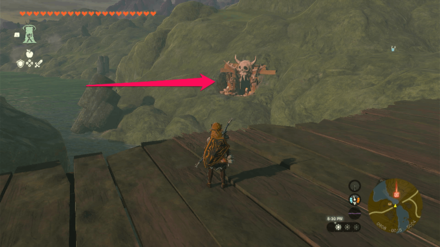 TOTK - Rebonae Bridge Cave Entrance