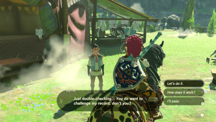 Tears of the Kingdom TOTK - Blynne