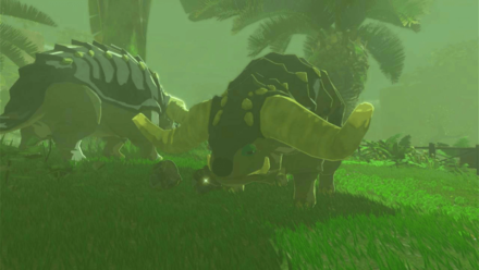 Tears of the Kingdom TOTK - Dondons