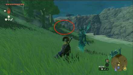 Zelda TotK - Tabantha Bridge Stable Horses