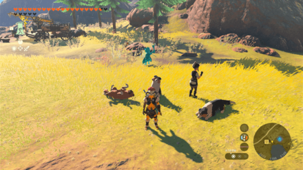 Tears of the Kingdom TOTK - Foothill Stable Dogs