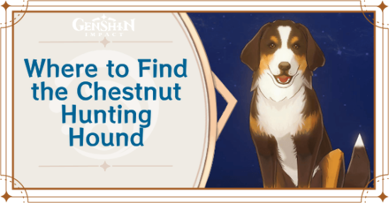 Genshin Impact - Where to Find Chestnut Hunting Hound and Basic Information