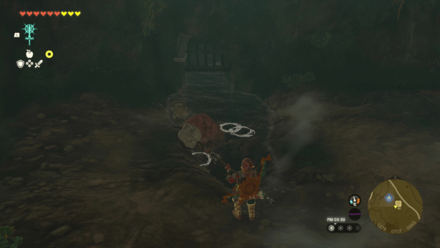 Tears of the Kingdom TOTK - New Serenne Stable Treasure