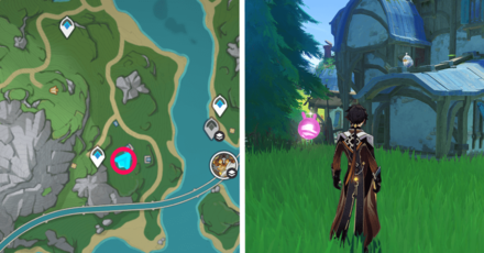 Genshin Impact - Slate Umbrellafinch Location 1