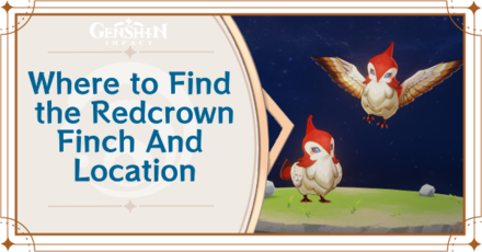 Genshin Impact - Where to Find Redcrown Finch and Basic Information