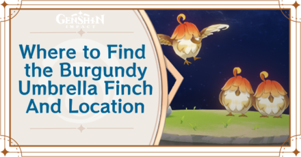 Genshin Impact - Where to Find Burgundy Umbrellafinch and Basic Information
