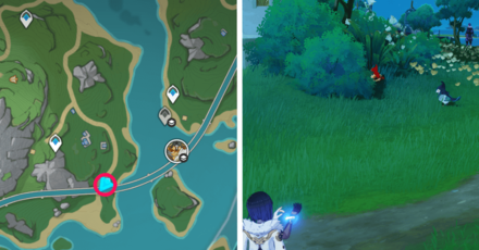 Genshin Impact - Bluecrown Finch Location 1