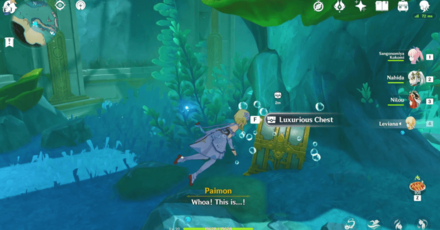 Genshin - Final Visit Luxurious Chest