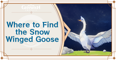 Genshin Impact - Where to Find Snow-Winged Goose and Basic Information