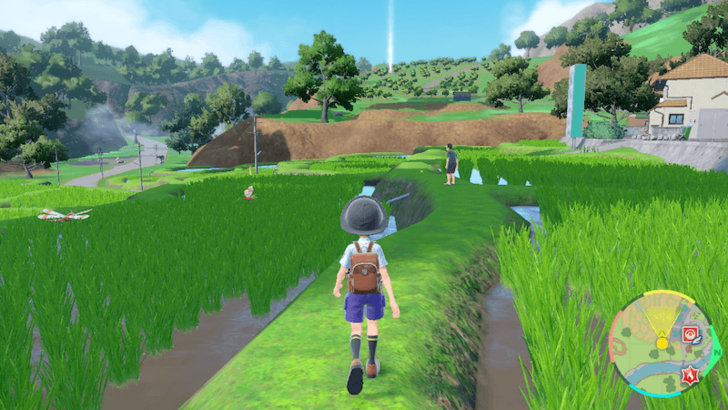 Japanese Style Rice Paddies