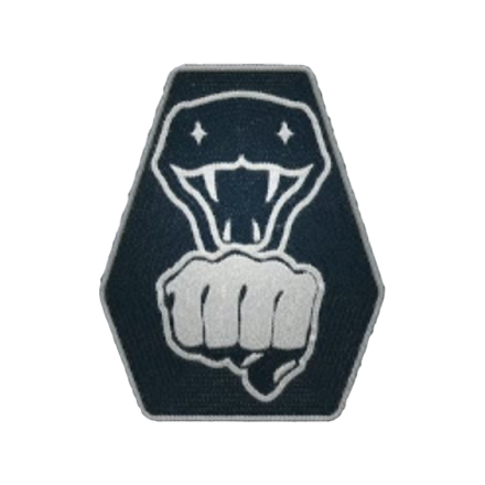 Starfield - Martial Arts