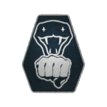 Starfield Martial Arts ID