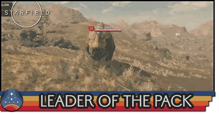 Starfield - Leader of the Pack Choices and Walkthrough