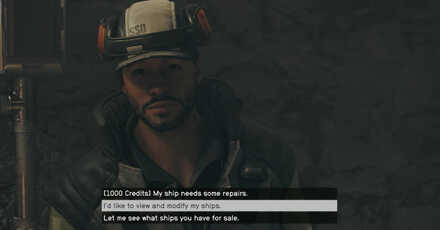 Starfield - Access Ships from Ship Services Technician