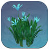 Genshin - Aquamarine Butterfly Bush Image