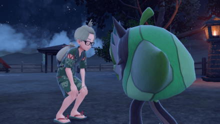 Pokemon Scarlet and Violet - Mystery Kid