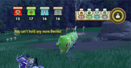 SV Teal Mask - 30 Berry Limit